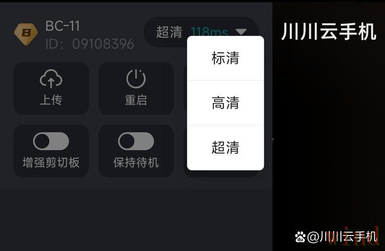 开云手机APP最新下载入口指南 开云手机APP最新下载入口指南